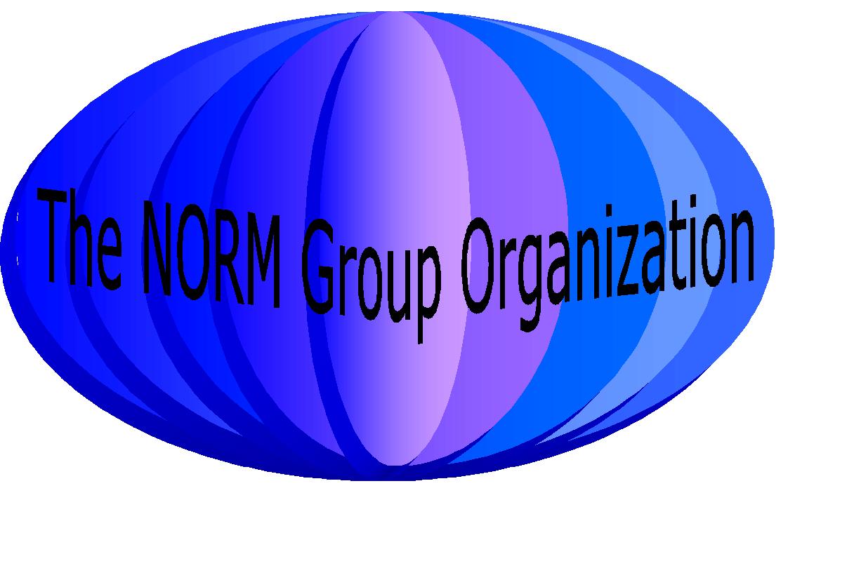 The NORM Group Logo