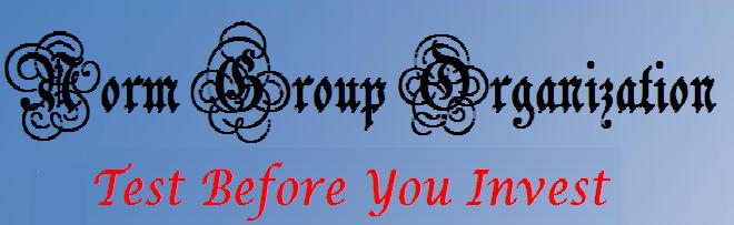  The Norm Group Organization Test Before You Invest